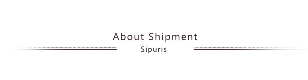 Sipuris Round Snake Chain Necklace For Men Women Stainless Steel Hip Hop Punk 0.9mm 1.2mm 1.5mm 2mm Chain Jewelry Christmas Gift